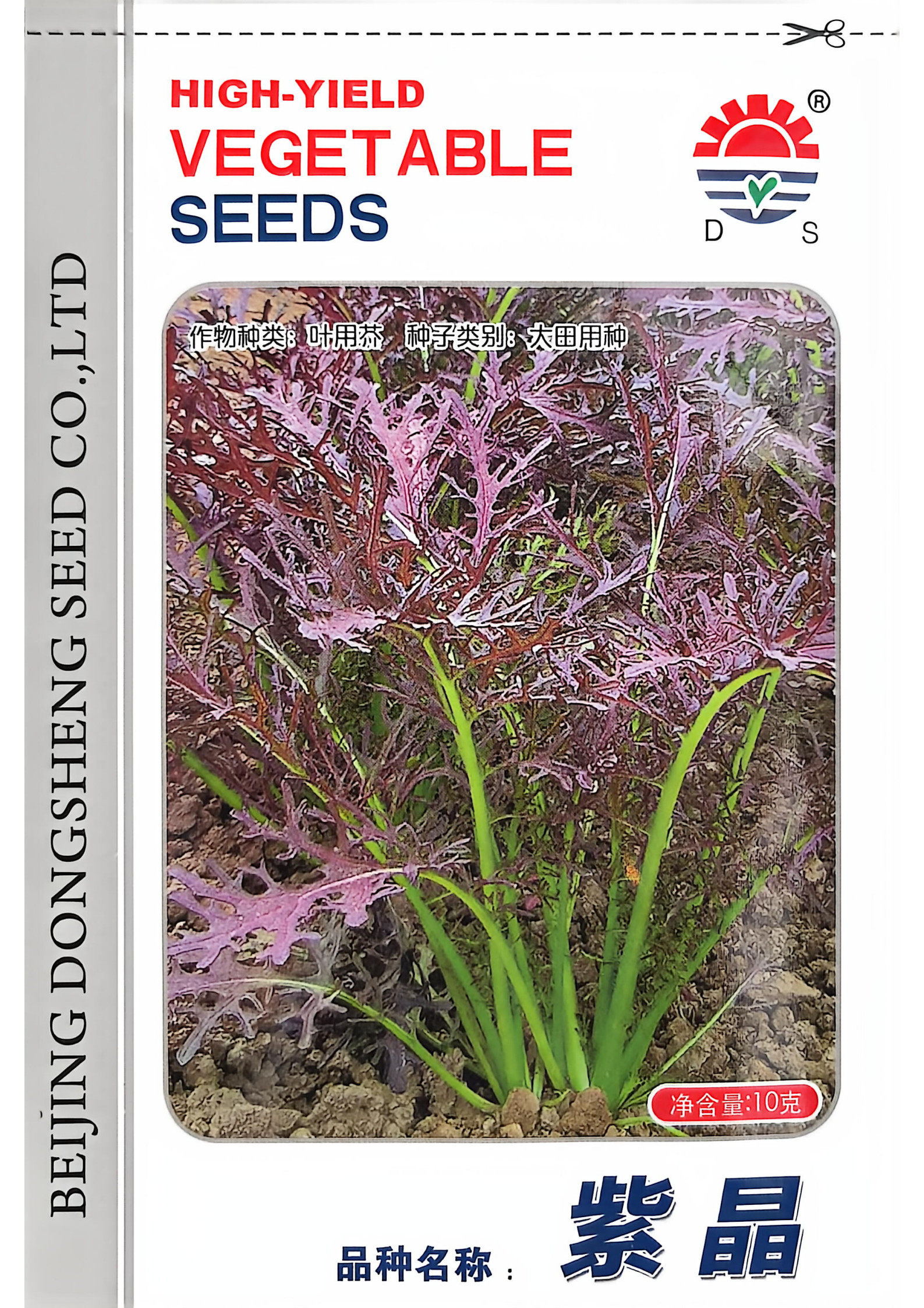 沙拉叶菜种子合集速生叶菜种子阳台盆栽蔬菜种子阳台沙拉配菜种子,农用物资,蔬菜种子/种苗,淘宝优惠券,粉丝福利购,淘宝优惠卷