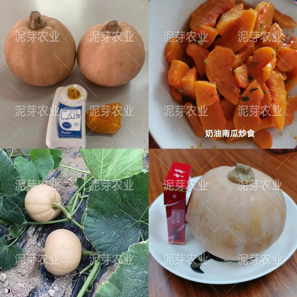 包邮珍蜜奶油南瓜种子   圆奶油南瓜种子 粉糯香甜 多种食用,农用物资,蔬菜种子/种苗,淘宝优惠券,粉丝福利购,淘宝优惠卷