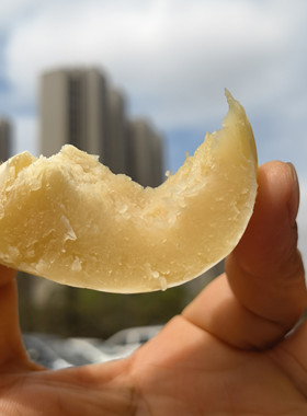 惠和白贝贝迷你白南瓜种子 白贝贝南瓜种子果肉白黄色 白baby南瓜