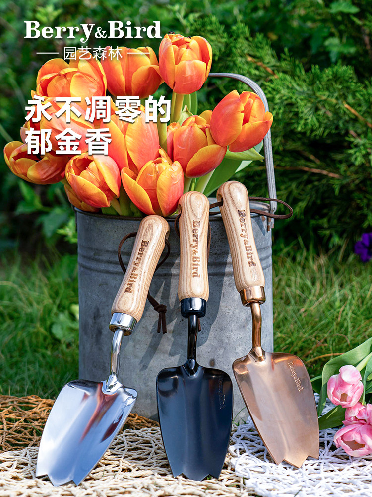 浆果和鸟类园艺森林郁金香小型手铲花卉种植覆盆铲土壤肥料工具不