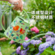 Berry&Bird园艺森林长嘴浇水壶家用养花盆栽洒水壶浇花喷壶不锈钢