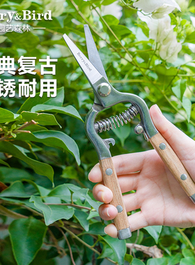 Berry&Bird园艺森林不锈钢家用剪刀修枝切花插花绿植盆景剪子省力