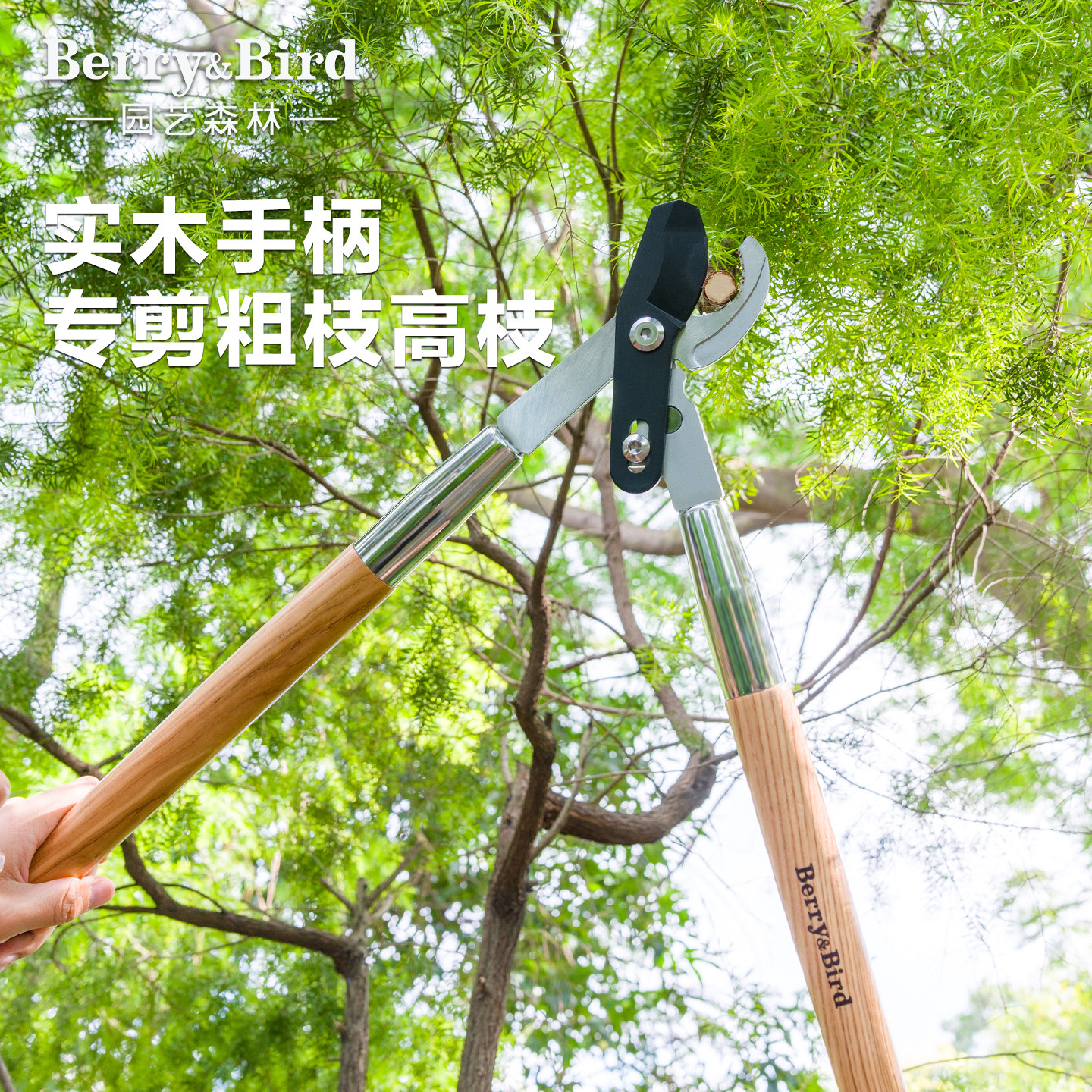 Berry&Bird园艺大剪刀粗枝修剪图片