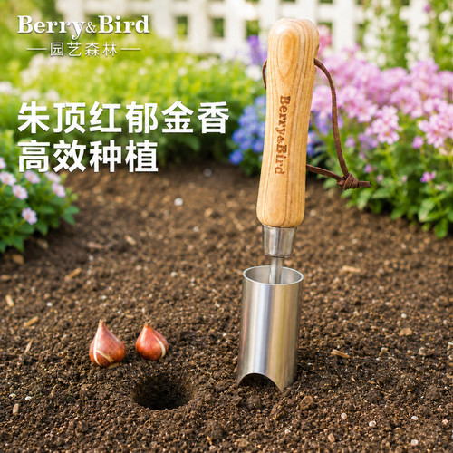 园艺森林园艺工具种球种植