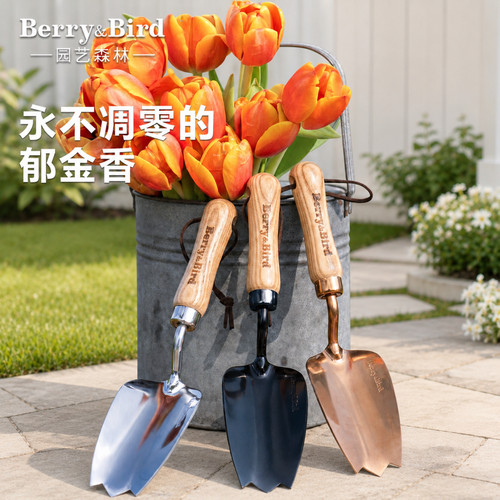 Berry&Bird郁金香小铲子换盆挖土