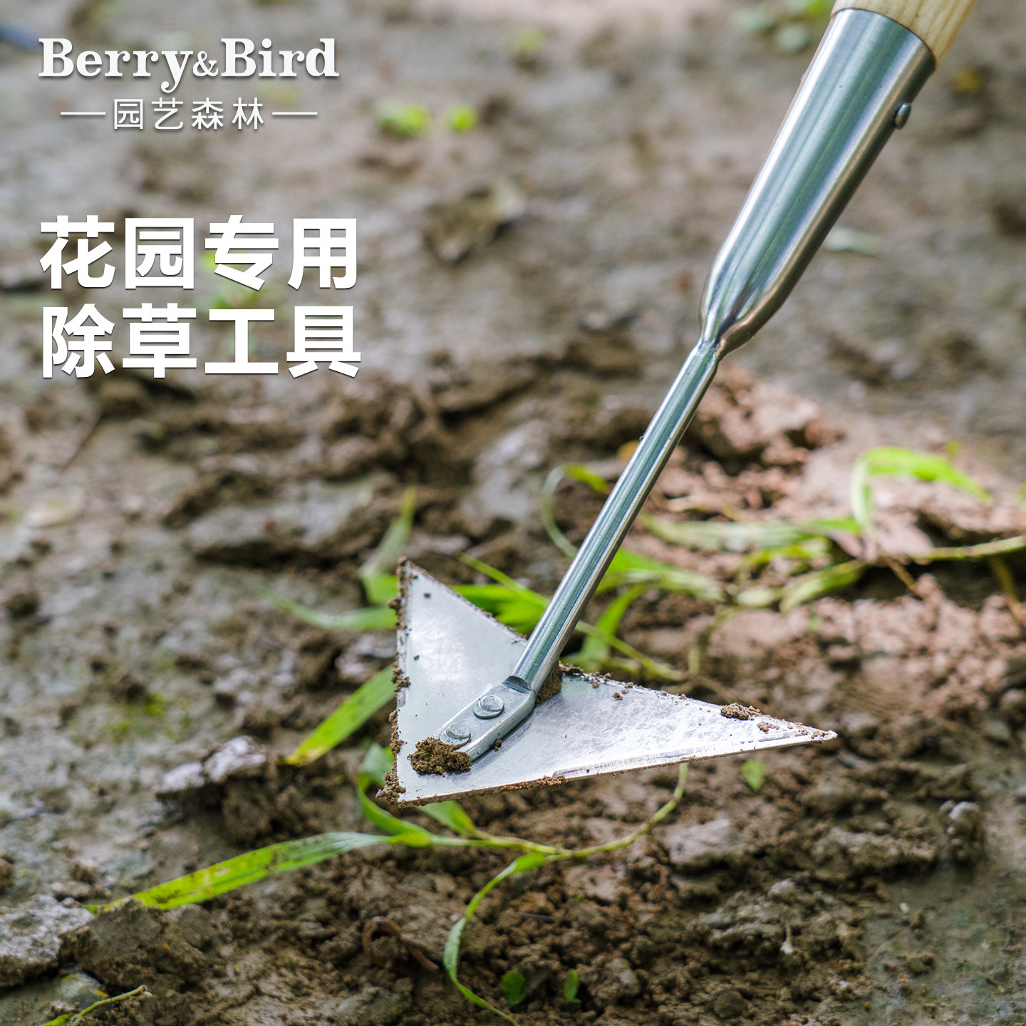 Berry&Bird园艺森林不锈钢除草器松土锄头户外农场除草工具花园用,鲜花速递/花卉仿真/绿植园艺,锄头,淘宝优惠券,粉丝福利购,淘宝优惠卷