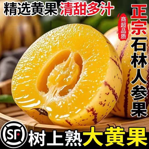 【顺丰发货】云南石林新鲜人参果黄肉清甜多汁当季水果树熟精品果