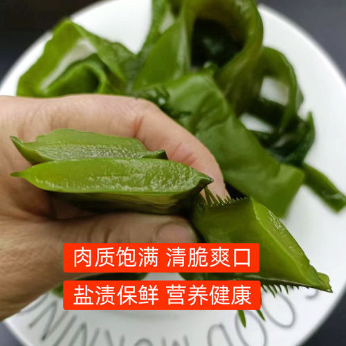 芙多儿盐渍裙带梗海白菜新鲜嫩绿