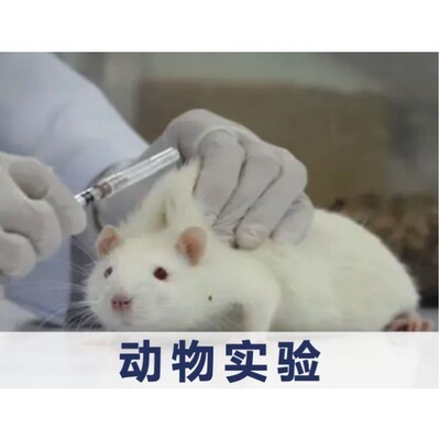 医学生物科研动物疾病分子细胞凋亡侵袭迁移基础实验外包生信分析