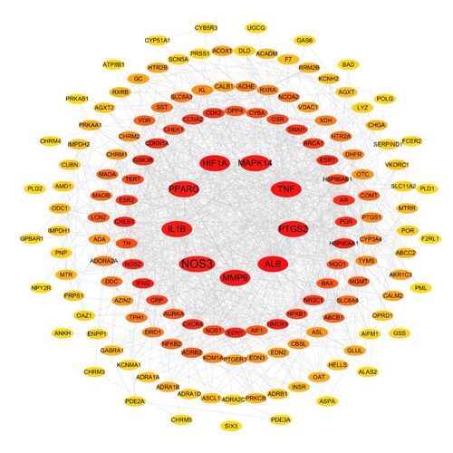 进化树发育树构建 多序列比对 MEGA IQ-TREE