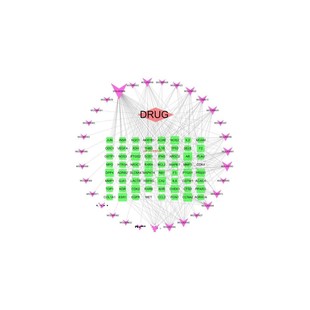 生物信息基因组学成分分析零代码数据视频教程课程