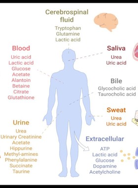 代谢组学数据分析(SIMCA-P)零基础入门课程视频+代码