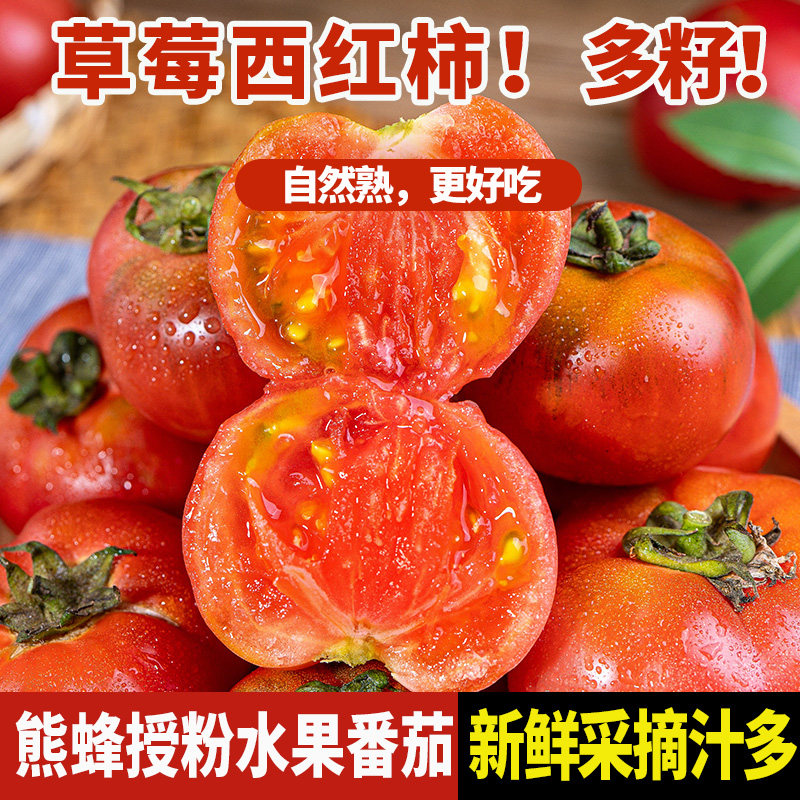 甘肃戈壁铁皮草莓柿子西红柿新鲜自然熟生吃水果番茄蔬菜当季5斤
