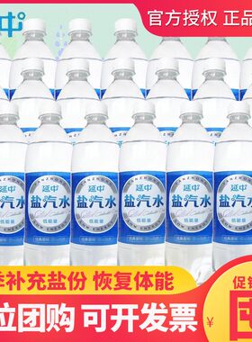 延中盐汽水600ml20瓶整箱薄膜装饮料批发特价补充体能区域包邮