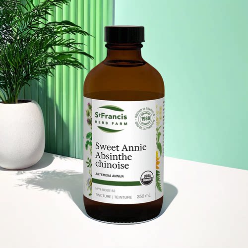 加拿大 St Francis herb farm Sweet Annie 高活性 青蒿素萃取液