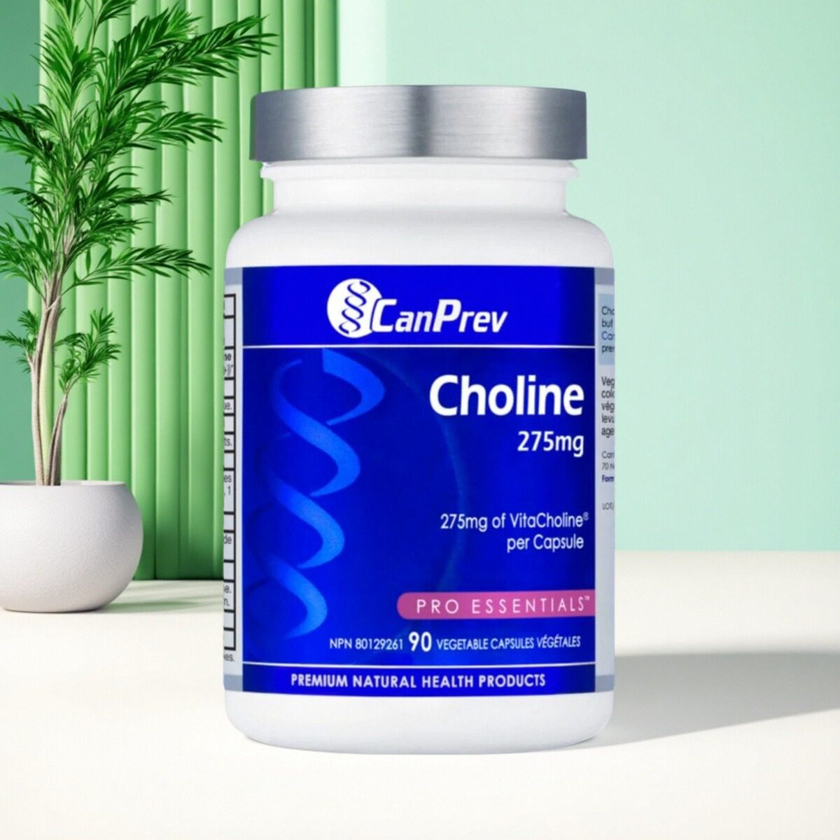 加拿大 CanPrev Choline 胆碱 275毫克 肝脏健康 有机纯素 胆碱
