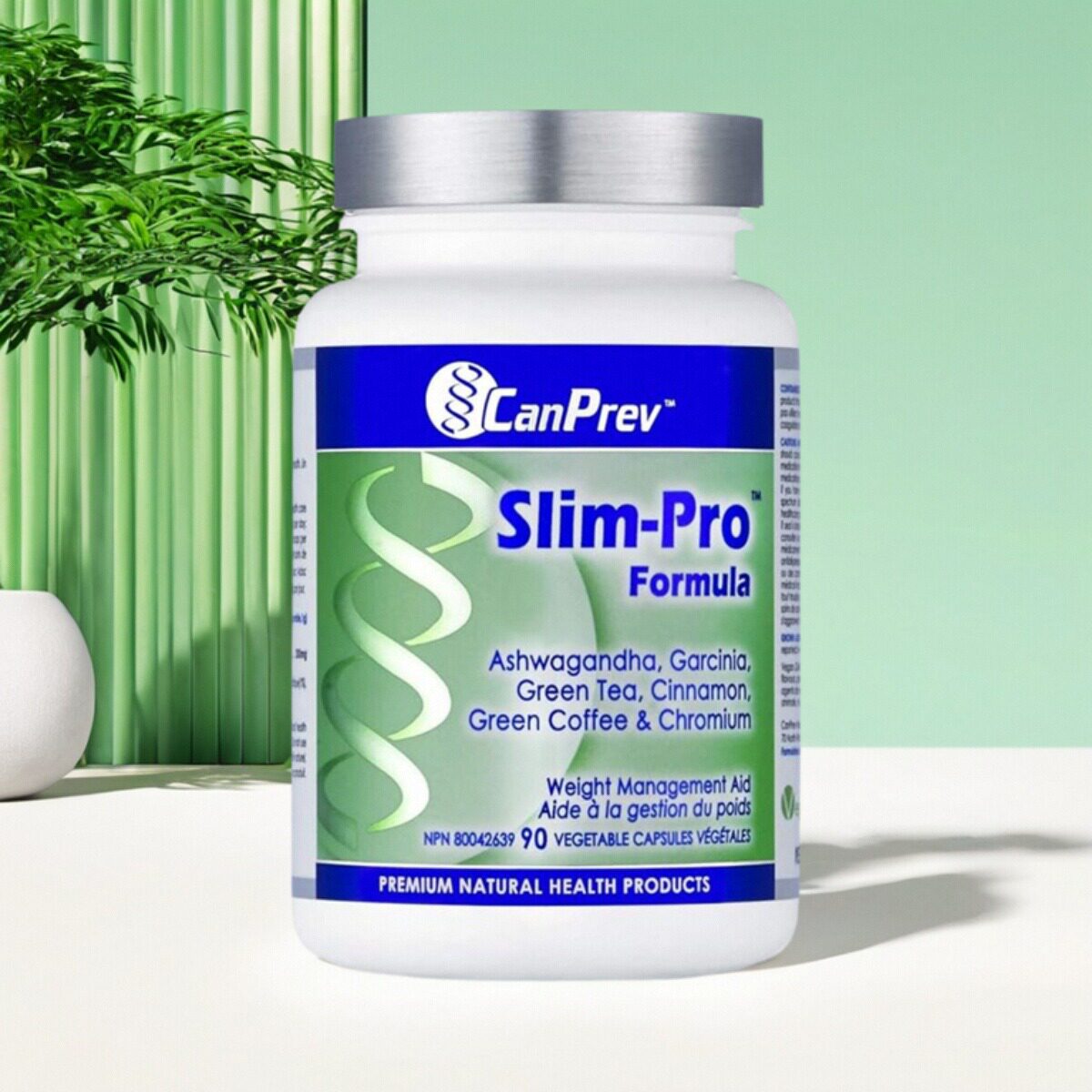 加拿大小天使胶囊体重管理