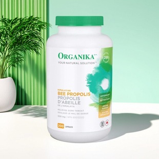 加拿大 Organika Bee Propolis 蜂胶 缓解喉咙不适