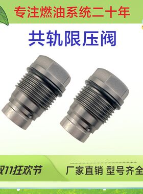 1110010027 燃油共轨限压阀 适用于现代起亚柴油汽车发动机 D1731