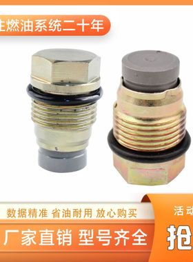 F00R001166 高压共轨限压阀 适用于锡柴 潍柴 博世油泵系列 D1731