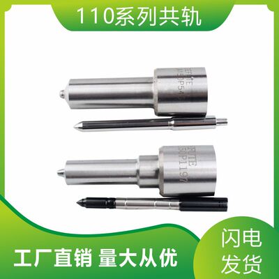DLLA145P2529 DLLA148P2538 DLLA149P2556 柴油共轨喷油嘴 D2131