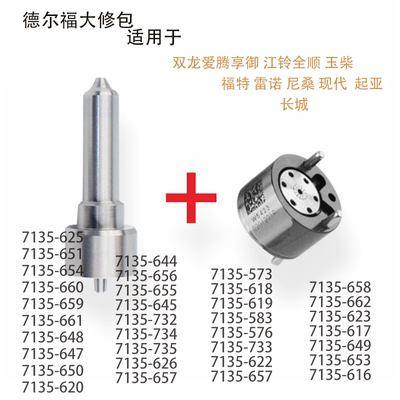 德尔福喷油器大修包喷油嘴维修包适用于双龙享御爱腾EJBR04701D
