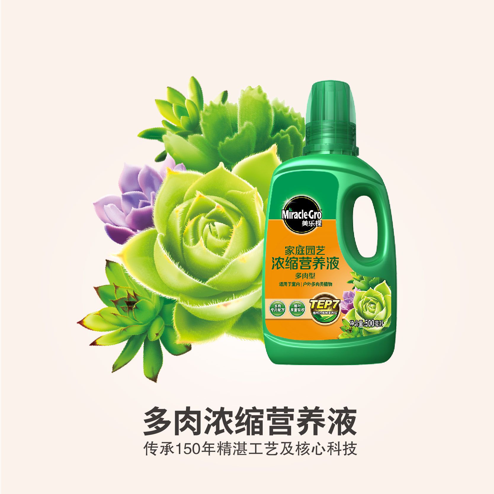 多肉植物专用液体肥价格 多肉植物专用液体肥图片 星期三