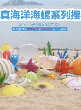 户外仿真贝壳乌龟海星海螺玻璃钢海洋生物雕塑沙滩游乐场公园摆件