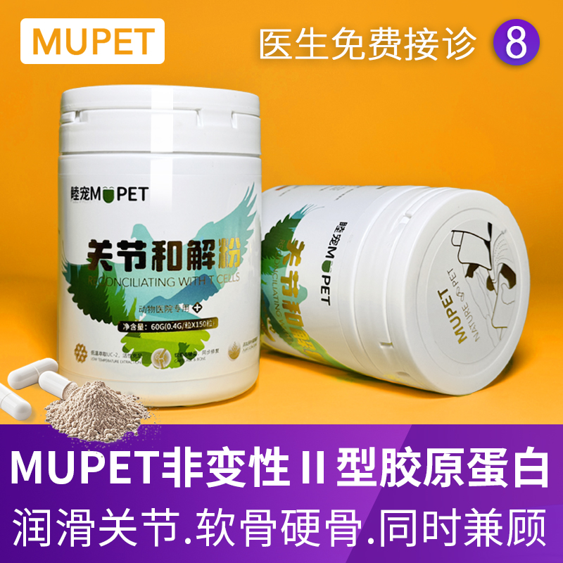 犬用益生菌片肠胃调理