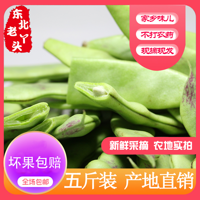 东北特产新鲜油豆角九月青豆角一点红豆角开锅烂农家自-青豆(修齐食品专营店仅售42.8元)