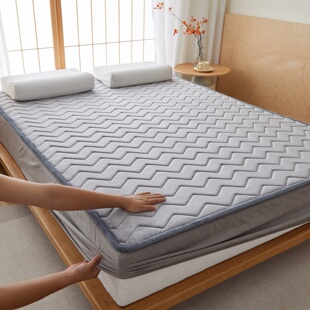 ROLAND 短绒床垫保护套薄垫保暖防尘罩 LIVE床笠垫褥记忆棉秋冬季