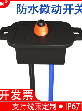 卡西明新能源充电枪座防水微动开关充电桩法兰盘微动开关KXM-V1