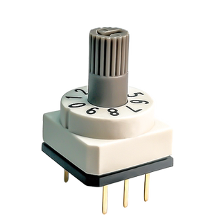 韩国进口数字旋转编码开关8421插件拨码开关IP67防水直插10档调节