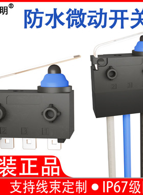 小型防水微动开关IP67级防水汽车门锁原装正品多种压杆搭配