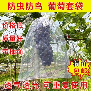 果树防虫网袋草莓防鸟防虫网眼袋西红柿番茄桃子葡萄专用水果套袋