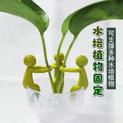 水培植物扶正伴侣水培固定器