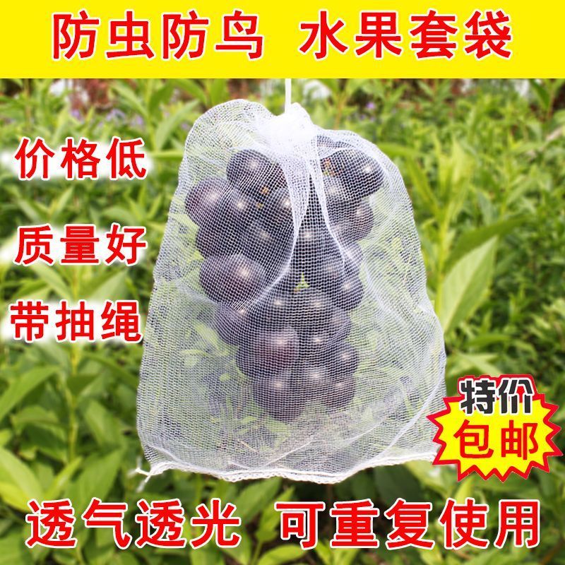 水果套袋防鸟网纱袋防虫专用袋