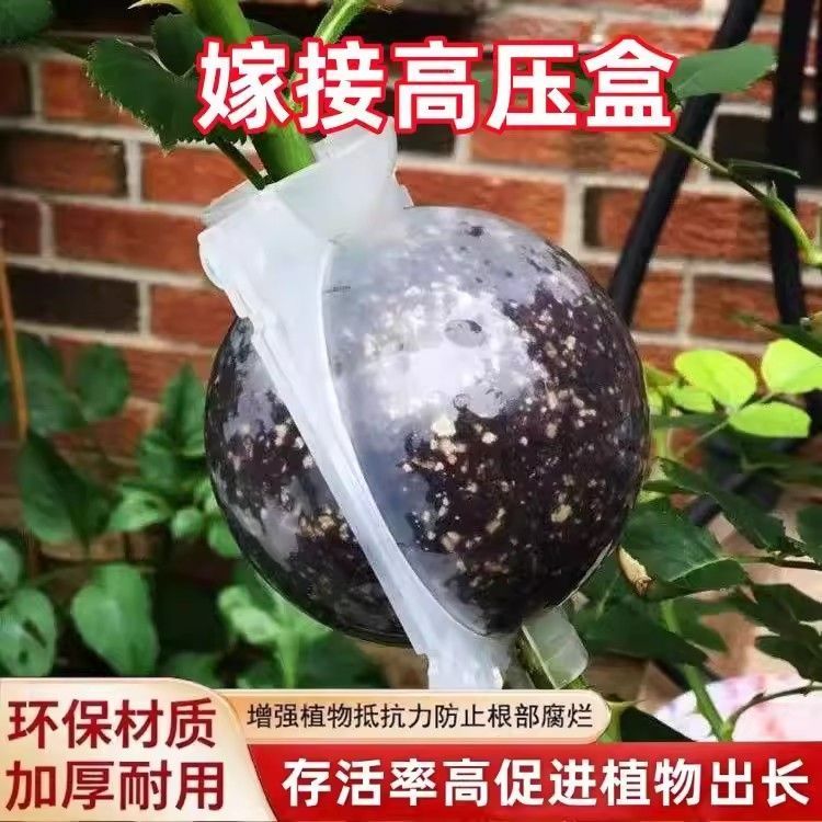 植物高压生根繁殖盒控根器生根盒