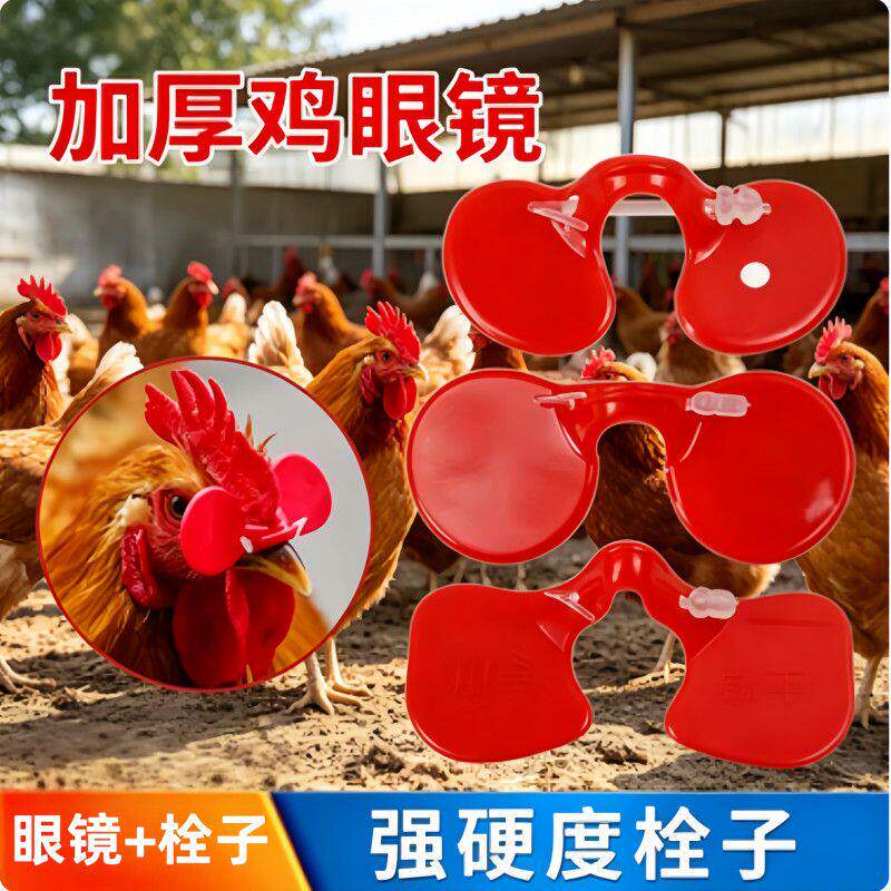 公鸡眼镜小鸡眼镜大中号带孔鸡用眼镜土鸡防啄鸡眼罩养鸡设备用品