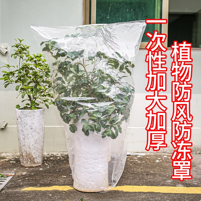 花卉盆栽过冬保护罩树木防寒布防尘袋透明绿植物防冻保温袋塑料膜