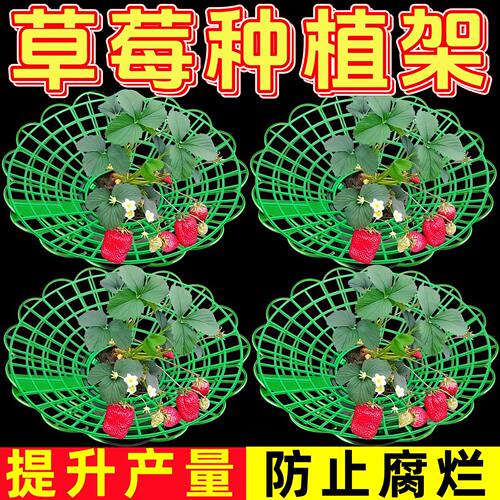 草莓支架草莓种植立体架托盘果实支撑架田园果实防烂绿植支撑架