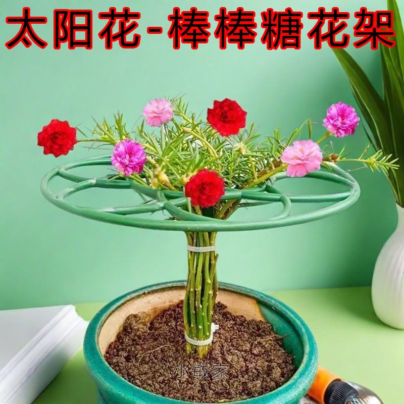 太阳花棒棒糖支架单层多层支撑架