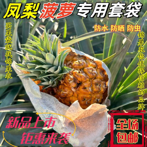 菠萝凤梨专用套袋防水防晒防虫