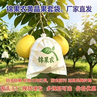 锦果农黄晶果套袋防水防晒杜绝日灼果蝇针蜂防虫防污厂家直发