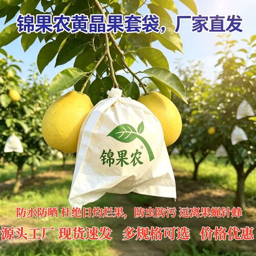 锦果农黄晶果套袋防水防晒防虫