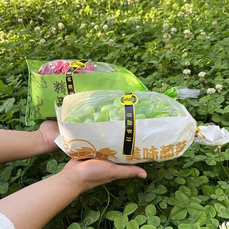 精品葡萄包装纸袋透明防雾
