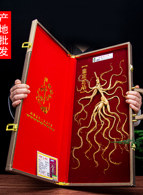 吉林人参长白山人参山参礼盒移山参干人参节日送礼一等品泡酒料
