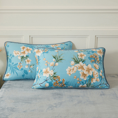 ab面全棉加绒枕套一对装纯棉单人48cmx74cm枕芯内胆套四季枕头套