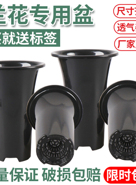 塔型花盆园艺兰花盆 塑料透气简约黑色 排水四季兰君子兰花专用盘