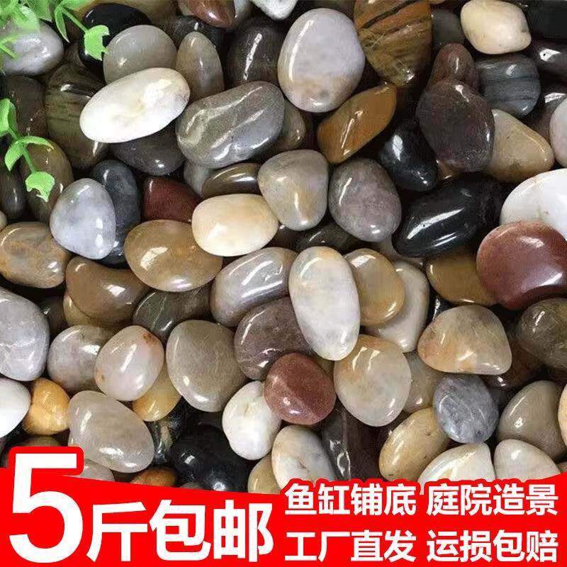 天然鹅卵石铺地造景雨花石原石石头庭院石子花园鱼缸白色鹅软暖石
